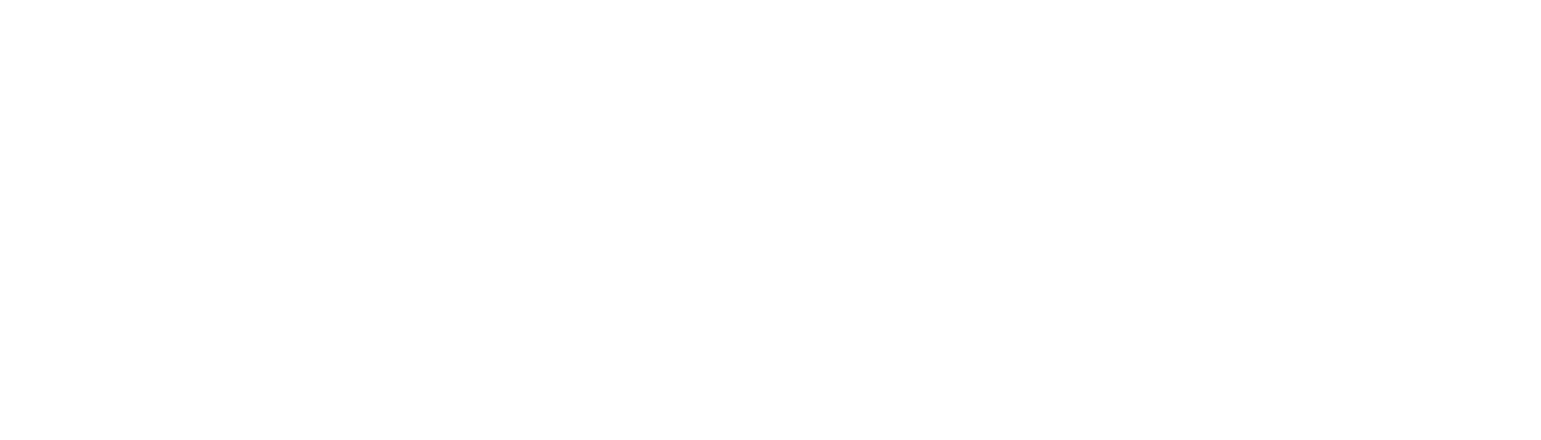 Logo VNNIC_White